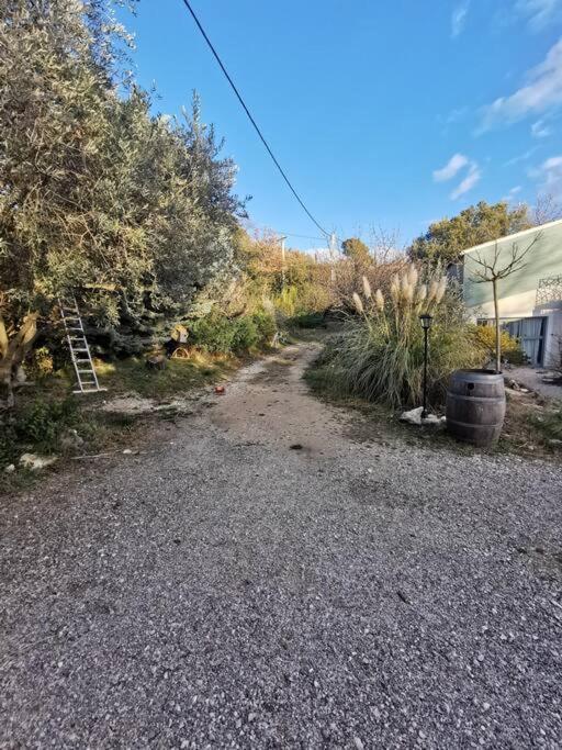 Entre Ventoux Et Luberon, Appartement Dans Maison. Malemort-du-Comtat Экстерьер фото